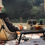NNEOBA Grid Folding Outdoor Camping Portable Barbecue Table