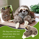 NNEOBA Cute Realistic Three-Toed Sloth Plush