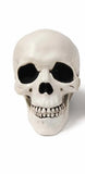 Halloween Skull Decoration, 20X16X15CM Halloween Skull Decoration,Realistic Plastic Skull,Head Skeleton,Halloween Party Home Yard Decoration,Haunted House Horror Props