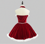 Women's Santa Claus  Vintage Medieval Christmas Costume Set