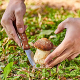 NNEOBA Mushroom Folding Knife Brown
