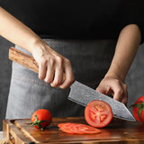 NNEOBA 5-Inch Handmade 67-Layer Damascus Steel Chef Knife AUS-10 Core Brown