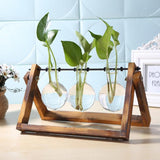 NNEOBA Glass and Wood Vase Planter Terrarium Table Desktop Hydroponics Plant Bonsai Flower Pot Hanging Pots with Wooden Tray Home Decor