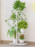 NNETM Plant Stands as Sculptures of Greenery