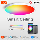 NNEOBA Smart Home Lighting: Tuya Zigbee 3.0 WiFi RGBW LED Ceiling Lamp