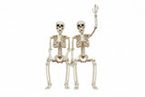 Happy Halloween Humanoid Skeleton Decorations – 2PCS Plastic Skeleton Props for Haunted House, Home, Bedroom, Balcony & Party Décor