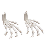 2-piece set - 3D Pprinted Hand Bone Ornaments, Halloween Decorations, 9.3 cm Long, Made of PLA Material, Can be used for decorat