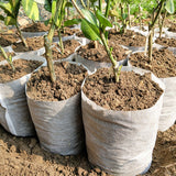 NNEOBA 100Pcs Different Sizes Biodegradable Non-woven Seedling Pots Eco-Friendly Planting Bags Nursery Bag Plant Grow Bags for garden
