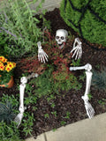 Halloween Skeleton Stakes with Skull Head & Movable Hand Arms