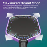 Carbon Fiber Pickleball Paddle
