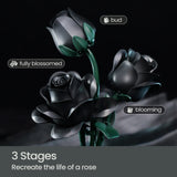 NNEOBA Black Rose Building Block Set Gothic Bouquet (12 PCS)