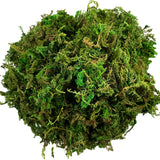 Artificial Moss Green for Potted Plant Orchid Potting Mix Peat Moss Pole Craft