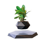 NNEOBA Levitating Air Bonsai Pot
