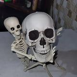 Halloween Skull Decoration, 20X16X15CM Halloween Skull Decoration,Realistic Plastic Skull,Head Skeleton,Halloween Party Home Yard Decoration,Haunted House Horror Props
