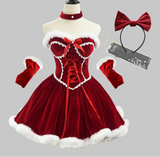 Women's Santa Claus  Vintage Medieval Christmas Costume Set