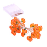 Halloween Pumpkin Horror Eyeball LED String Lights – 2M
