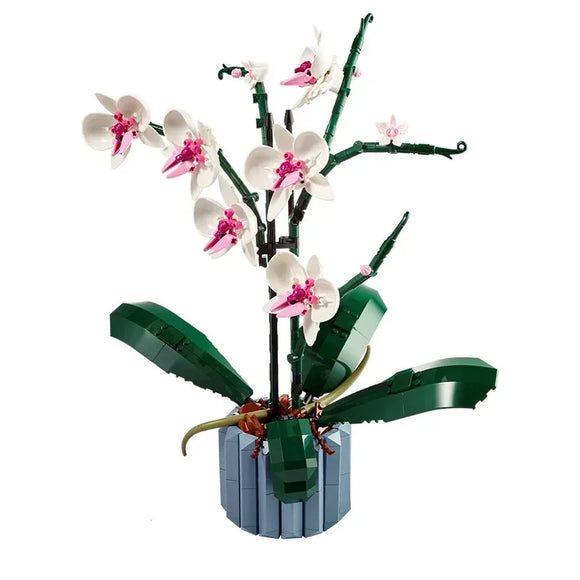 NNEOBA Orchid Building Blocks