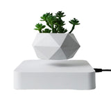 NNEOBA Levitating Air Bonsai Pot