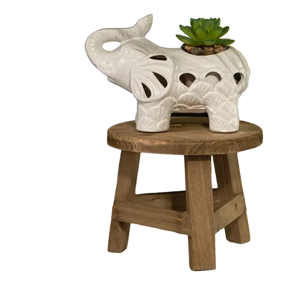 NNEOBA Wooden Mini Plant Stand Display - Multifunctional Home Decor Stool