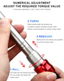 NNEOBA 15-Piece Bicycle Torque Wrench Set Red