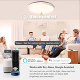 NNEOBA Smart Home Lighting: Tuya Zigbee 3.0 WiFi RGBW LED Ceiling Lamp