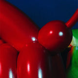 NNEOBA Modern Luxury: Resin Balloon Dog Sculpture for Stylish Living Room Decor