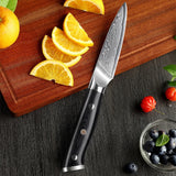 NNEOBA 3.5-Inch Damascus Steel Paring Knife VG10 Core Cutter Black