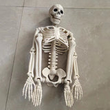 Halloween Movable Skeleton Skull & Bones Decoration