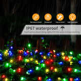 NNEOBA 100M 24V LED Fairy Garland String Lights | Waterproof, Ultra-Bright Star LEDs