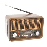 NNEOBA Portable Multi-Band Radio Brown