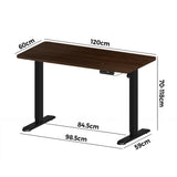 NNEED 120CM Electric Standing Desk Single Motor Black&Walnut