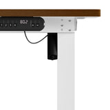 NNEED 120CM Electric Standing Desk Single Motor White&Walnut