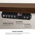 NNEED Electric Standing Desk Single Motor White&Walnut 140CM