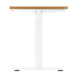 NNEED Standing Desk Dual Motor Adjustable 120cm White&Oak