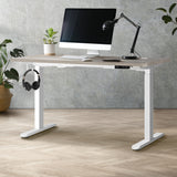 NNEED 140cm Electric Standing Desk Dual Motor White&Grey-Oak