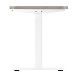 NNEED 140cm Electric Standing Desk Dual Motor White&Grey-Oak