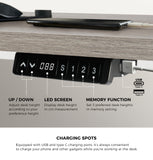 NNEED 140cm Electric Standing Desk Dual Motor White&Grey-Oak