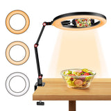 Foldable 10 Led Ring Light With Swing Arm Stand & Phone Holder-1915197913173200901