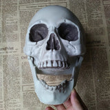 Halloween Skull Decoration, 20X16X15CM Halloween Skull Decoration,Realistic Plastic Skull,Head Skeleton,Halloween Party Home Yard Decoration,Haunted House Horror Props