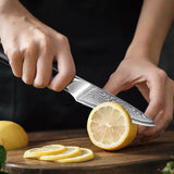 NNEOBA 3.5-Inch Damascus Steel Paring Knife VG10 Core Cutter Black