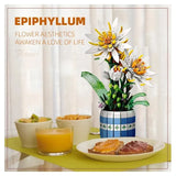 NNEOBA Flower Bonsai Building Blocks Epiphyllum Plant