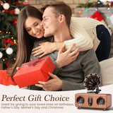 NNEOBA Retro Bluetooth Speaker FM Radio Subwoofer Wireless