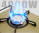 NNEOBA Camping Gas Stove Folding Burner with IGT Table Khaki