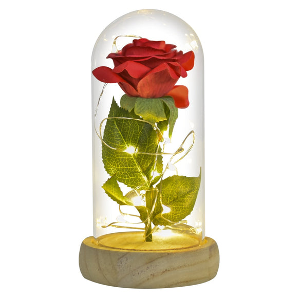 NNEOBA Valentine Gift Beauty and The Beast Preserved Roses In Glass Galaxy Rose Flower LED Light Artificial Flower Gift for Women Girls