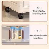 NNEOBA 60cm Foldable Plastic Storage Cabinet with 2 Small Compartments