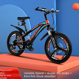 NNEOBA Youth Mountain Bikes with Disc Brakes