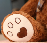 NNEOBA Teddy Bear Plush Pillow (Brown)