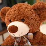 NNEOBA Teddy Bear Plush Pillow (Brown)