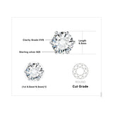 NNEOBA Earrings Stud Round 5A Zirconia Silver for Women (Silver)