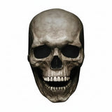 Full Face Skull Mask Helmet with Movable Jaw for Halloween & Cosplay